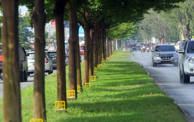 Kampung Wisata Bandar Senapelan